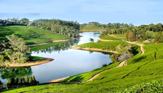 Coimbatore - Kodaikanal - Coimbatore