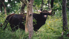 Coimbatore - Wayanad - Coimbatore