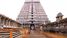 Coimbatore - Thiruvannamalai - Coimbatore