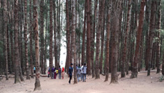 Coimbatore - Ooty - Mysore - Bangalore