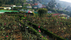 Coimbatore - Ooty - Mysore - Bangalore