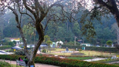 Coimbatore - Kodaikanal - Munnar - Coimbatore