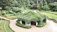 Coimbatore - Ooty - Kodaikanal - Coimbatore