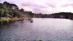 Coimbatore - Ooty - Kodaikanal - Coimbatore