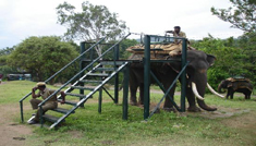 Coimbatore - Kodaikanal - Ooty - Mysore - Coimbatore