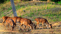 Coimbatore - Ooty - Mysore - Bangalore