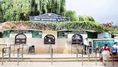Coimbatore - Ooty - Mysore - Coimbatore