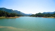 Coimbatore - Munnar - Coimbatore